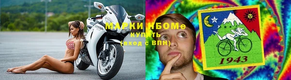 тгк Бородино