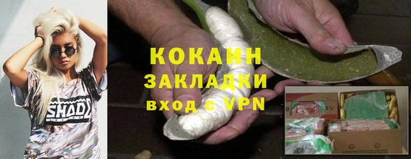 ГАЛЛЮЦИНОГЕННЫЕ ГРИБЫ Богданович