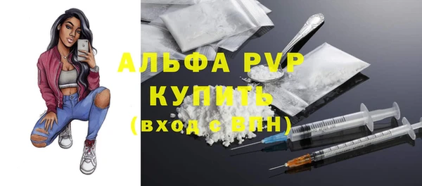 тгк Бородино