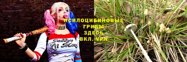 a pvp Богородицк