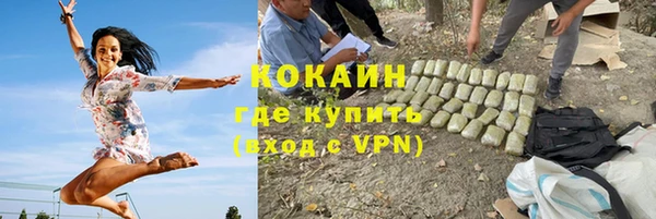 шишки Белоозёрский