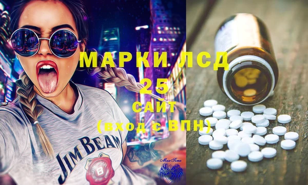 ГАЛЛЮЦИНОГЕННЫЕ ГРИБЫ Богданович