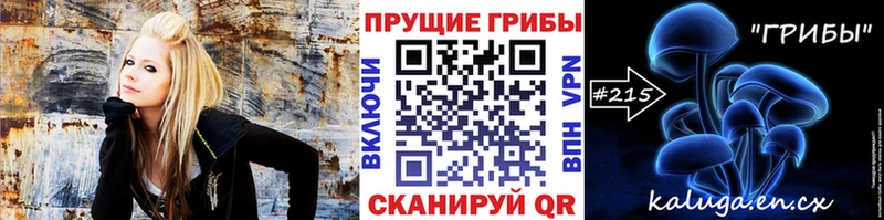 Псилоцибиновые грибы Cubensis  сайты даркнета как зайти  Дальнегорск 
